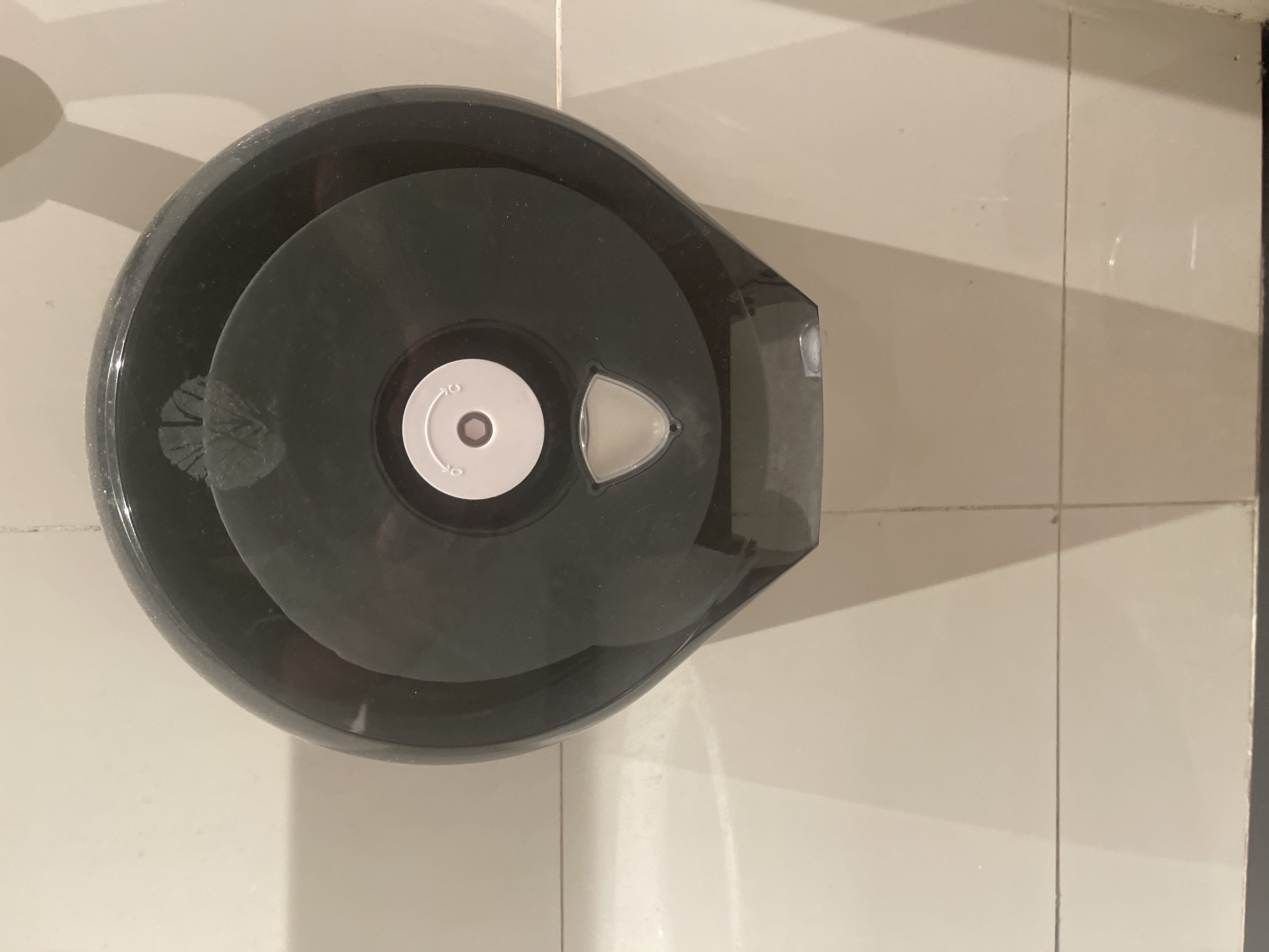 Bidet/tissue/tabo photo